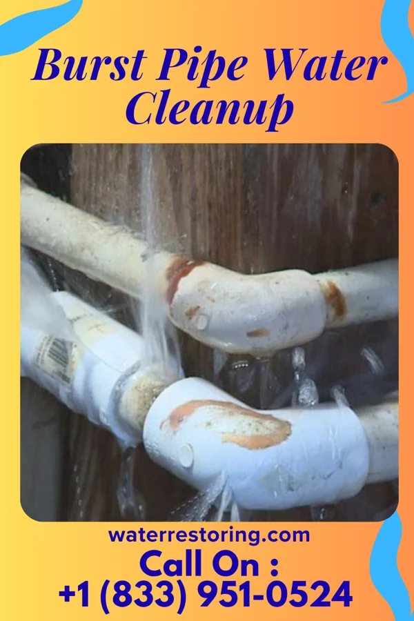 Burst Pipe Water Cleanup in Hollygrove, WV