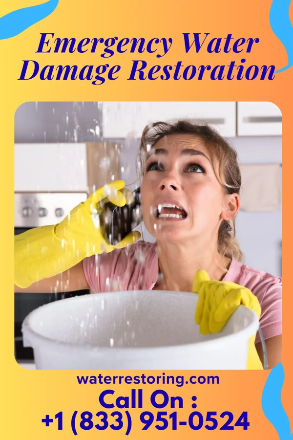 Emergency Water Damage Restoration in Hollygrove, WV