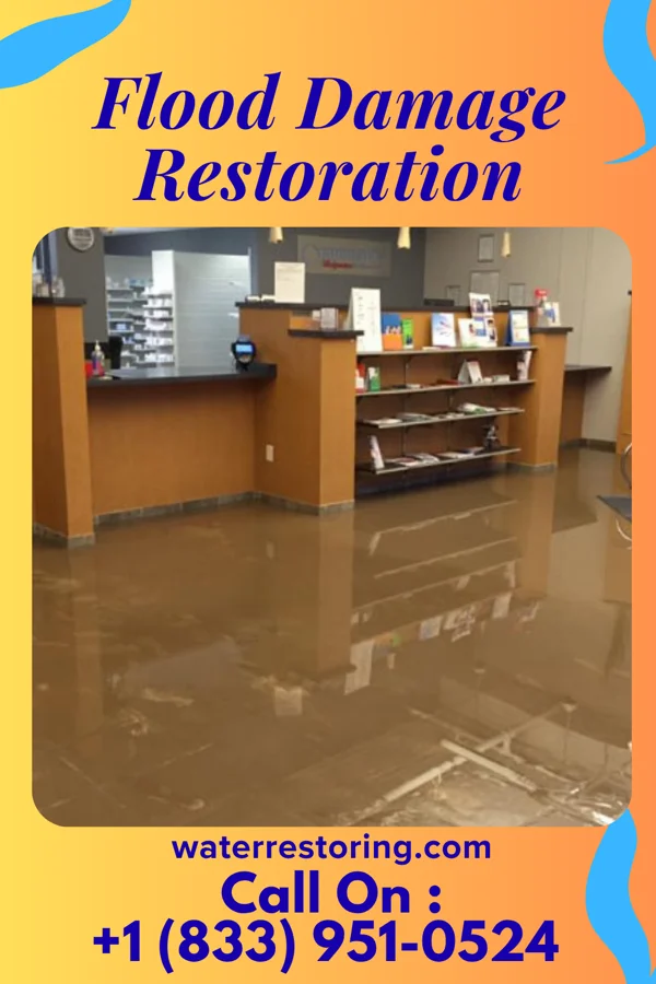 Flood Damage Restoration in Hollygrove, WV