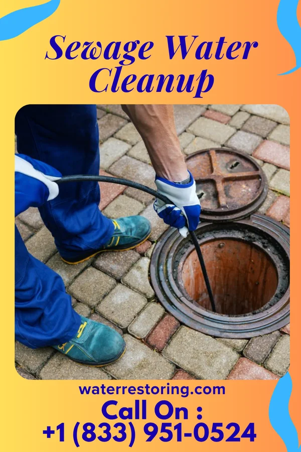 Sewage Water Cleanup in Hollygrove, WV