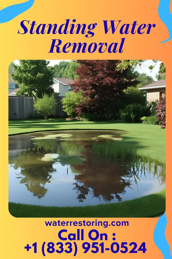 Standing Water Removal in Hollygrove, WV